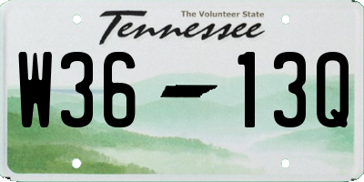TN license plate W3613Q