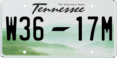 TN license plate W3617M