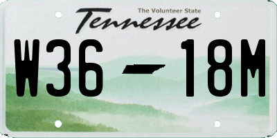 TN license plate W3618M