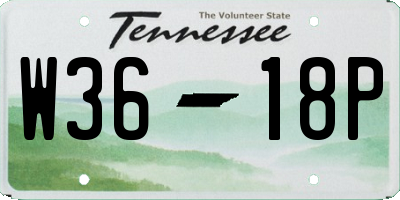 TN license plate W3618P