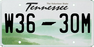TN license plate W3630M