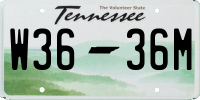 TN license plate W3636M