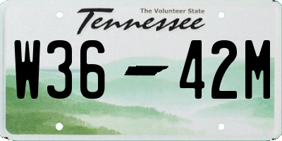 TN license plate W3642M
