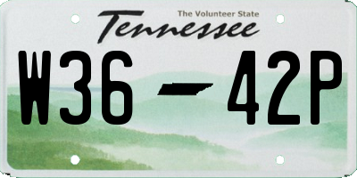 TN license plate W3642P