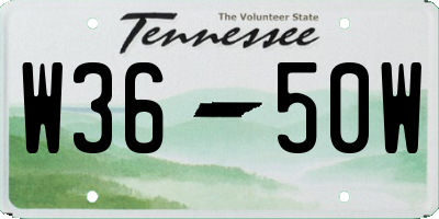TN license plate W3650W