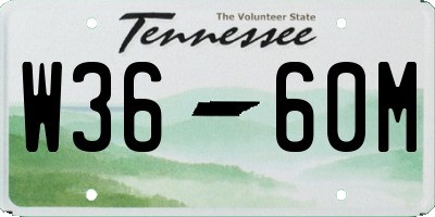 TN license plate W3660M