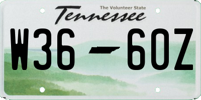 TN license plate W3660Z