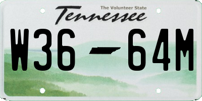 TN license plate W3664M