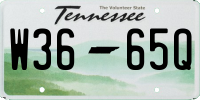 TN license plate W3665Q