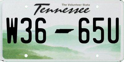 TN license plate W3665U