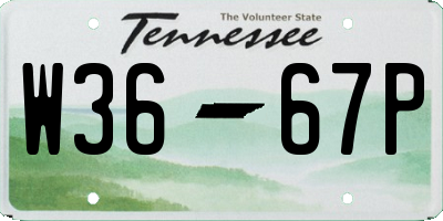 TN license plate W3667P