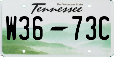 TN license plate W3673C