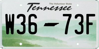 TN license plate W3673F