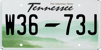 TN license plate W3673J