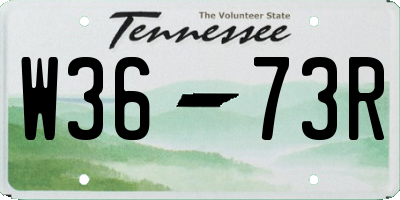 TN license plate W3673R