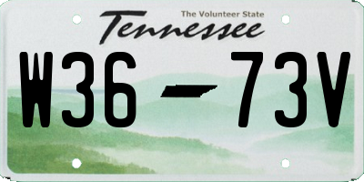 TN license plate W3673V