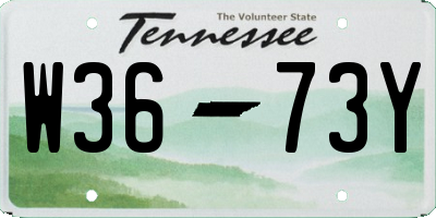 TN license plate W3673Y