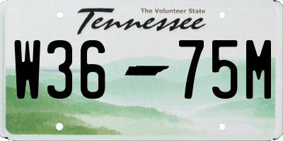 TN license plate W3675M