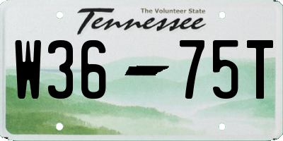 TN license plate W3675T