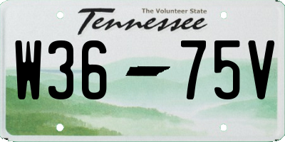TN license plate W3675V