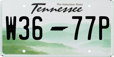 TN license plate W3677P