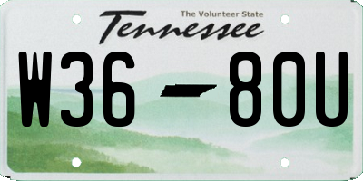 TN license plate W3680U