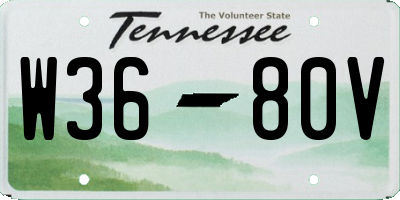 TN license plate W3680V