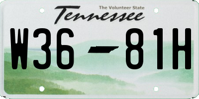 TN license plate W3681H