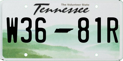 TN license plate W3681R