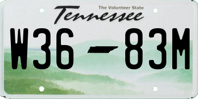 TN license plate W3683M