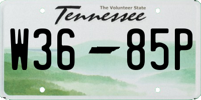TN license plate W3685P