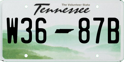 TN license plate W3687B