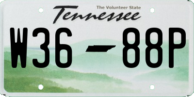 TN license plate W3688P