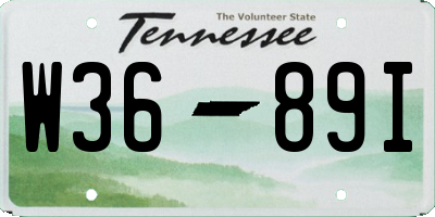TN license plate W3689I