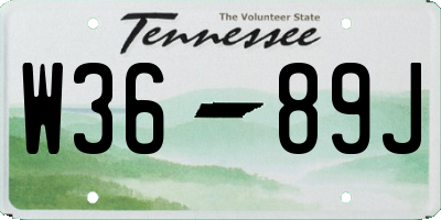 TN license plate W3689J