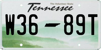 TN license plate W3689T