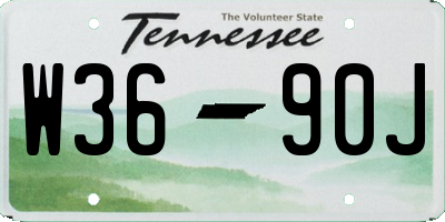 TN license plate W3690J