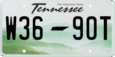 TN license plate W3690T