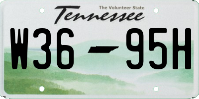 TN license plate W3695H