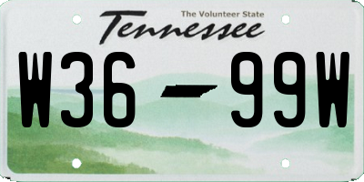TN license plate W3699W