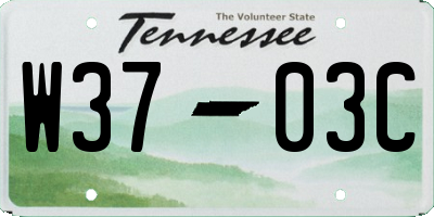 TN license plate W3703C