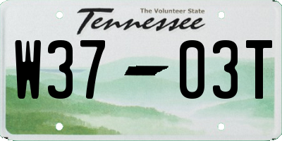 TN license plate W3703T