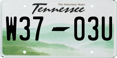 TN license plate W3703U