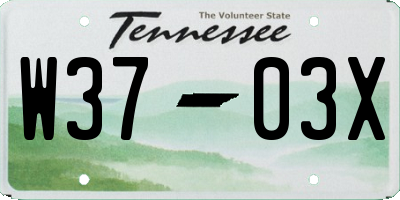 TN license plate W3703X