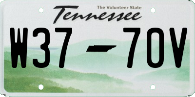 TN license plate W3770V