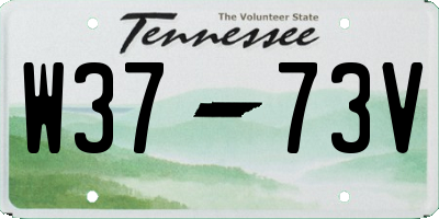 TN license plate W3773V