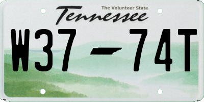 TN license plate W3774T