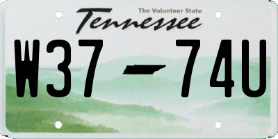 TN license plate W3774U