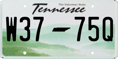 TN license plate W3775Q