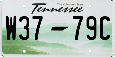 TN license plate W3779C